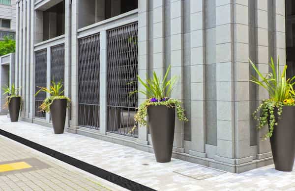 フォルテの写真